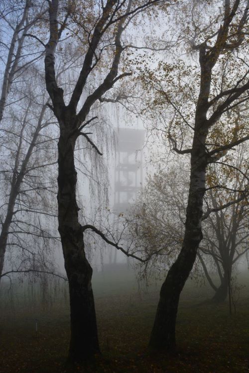 mlha nad Slavíkovem