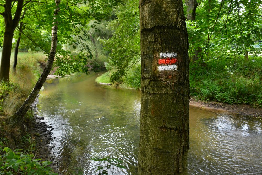 Metuje