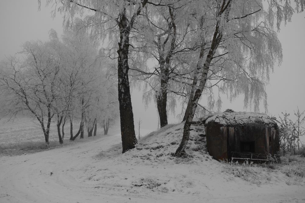ojíněná krajina