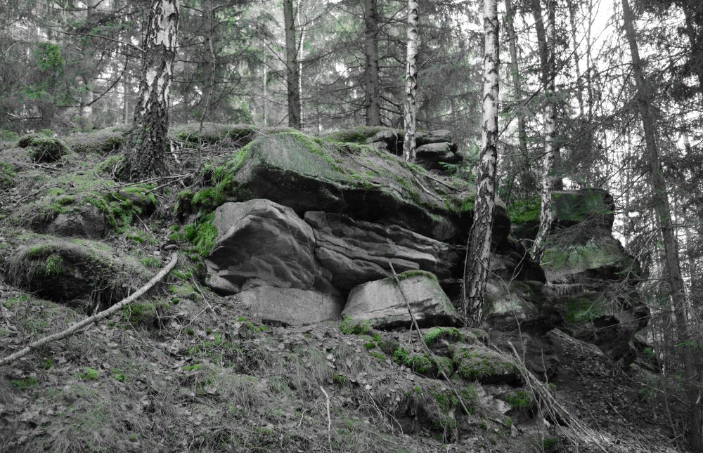 skalky nad Jívkou