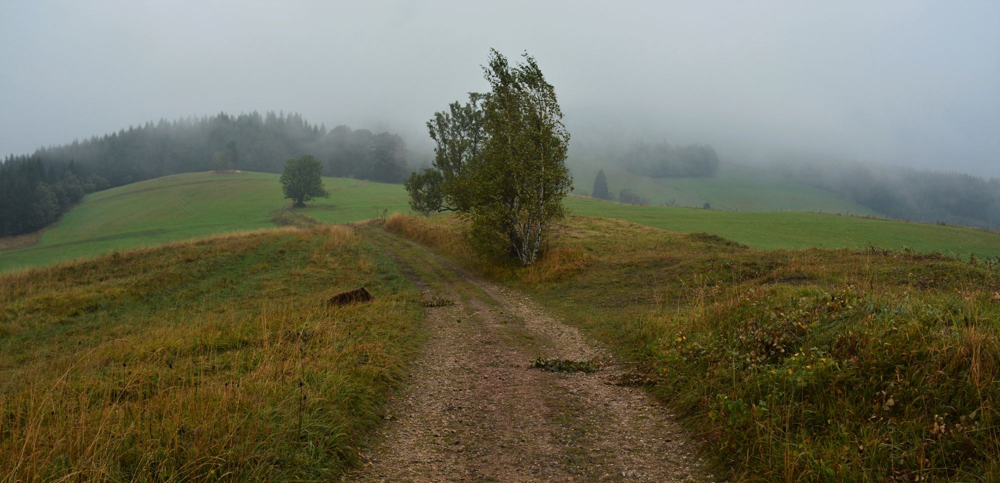 cesta na Grodczyn
