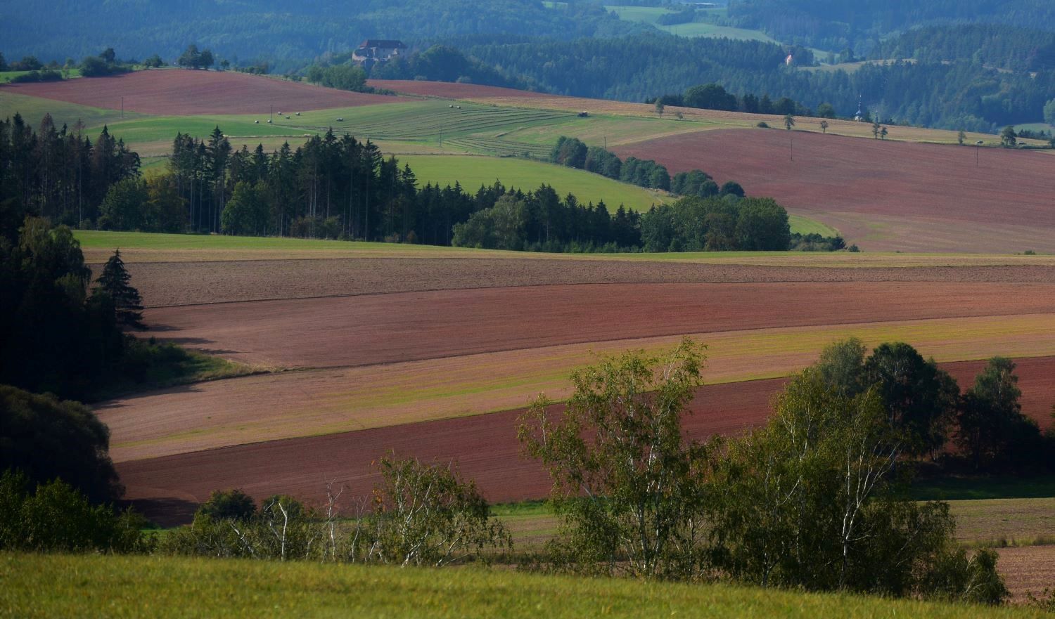 letní krajina u Pecky