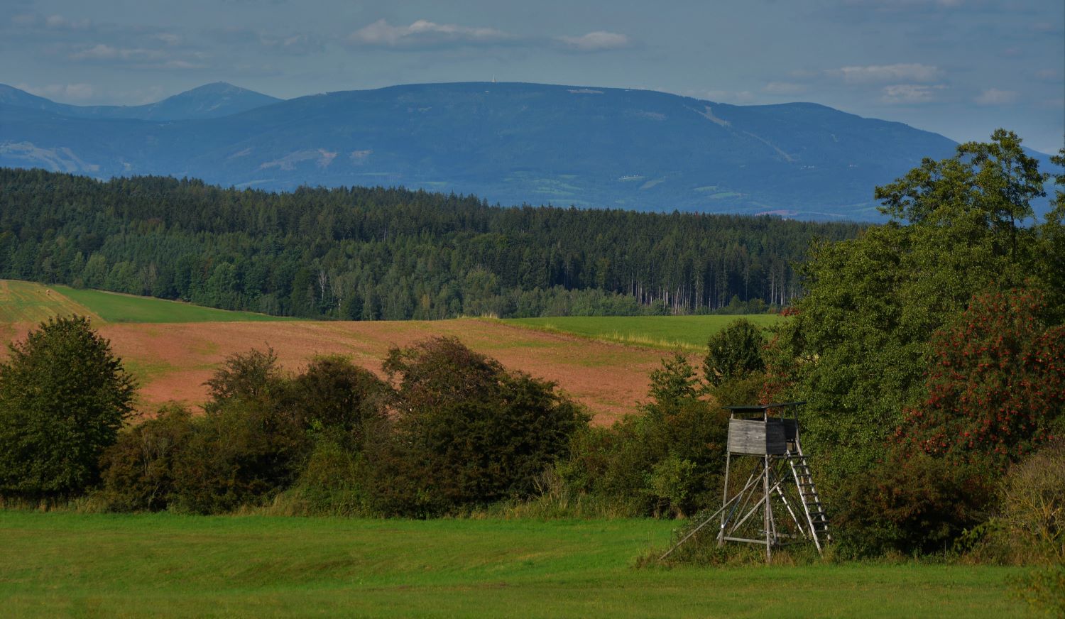 léto pod Krkonošemi